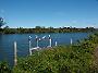 fish-coop-taree 019